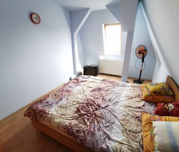 🏠 De închiriat apartament 2 camere – Complex Studențesc, str. Daliei- - Photo 1