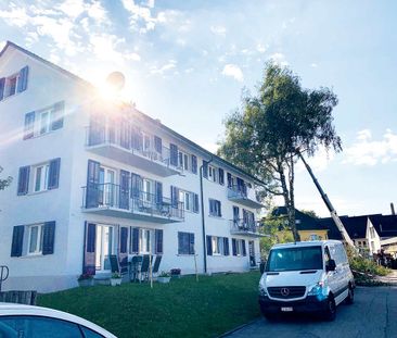 2.5 Zimmer - Photo 5