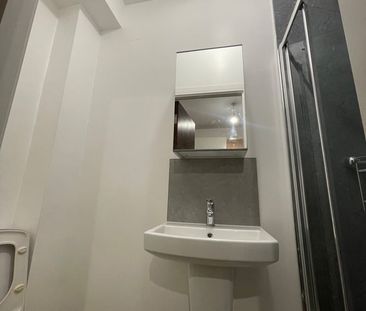 Studio Flat, Grenoble Gardens, N13 - Photo 5