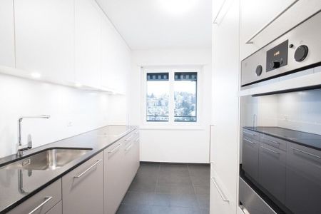 Appartement individuel parfait avec vue sur la ville, les tours Reuss et Musegg - Photo 3