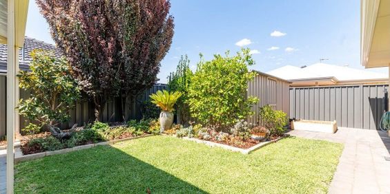 Banksia Grove - Photo 3