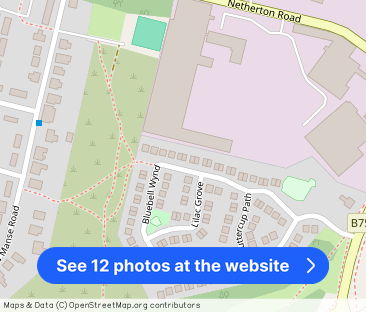 93 Bluebell Wynd, Wishaw, ML2 0PP - Photo 1