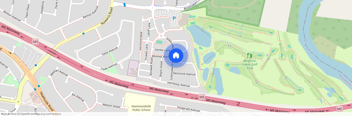 41 Greenview Drive, NSW 2170, Moorebank