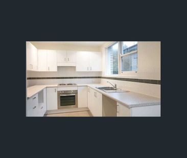 Coastal living in the heart of Dee Why - Photo 3