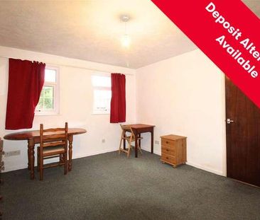 Richmond Dale, Bristol, Somerset, BS8 - Photo 4