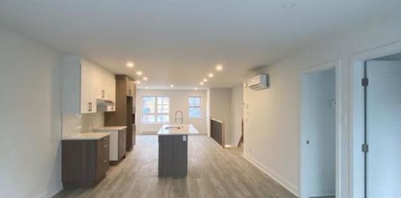 5 1/2 - Longueuil (Saint-Hubert) - 2 200 $/mois - Photo 2