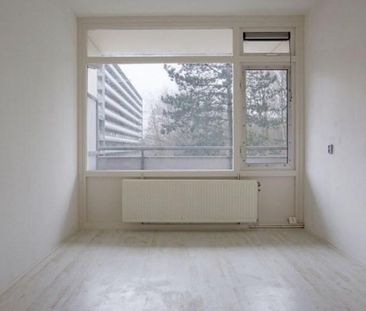 Spuikreek 0ong, 3079 Rotterdam, Nederland - Foto 2
