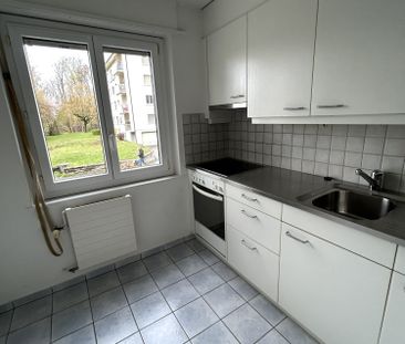 2 Zimmer, EG - Photo 1