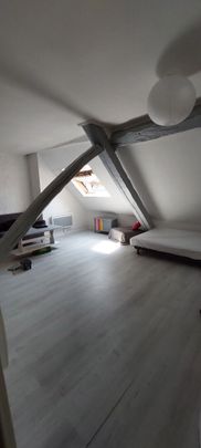 T1 bis Meublé Orleans Hyper Centre 34.43 m2 - Photo 1