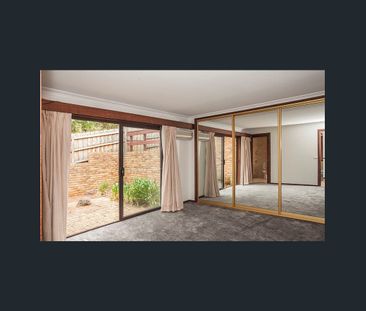 Light-Filled Family Retreat with Multiple Living Areas & Huge Backyard - Photo 2