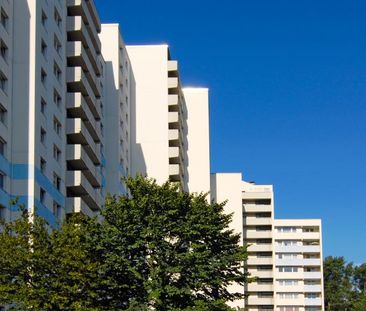 3-Zimmer-Wohnung in Frechen - Foto 1