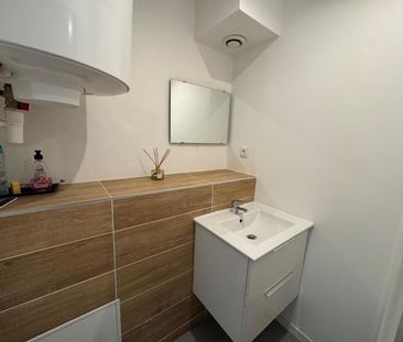 Location Appartement 1 pièce 20m² ST ETIENNE 42000 - Photo 4