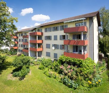 Rent a 3 rooms apartment in Schaffhausen - Photo 5