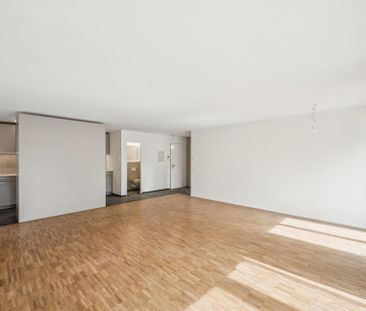 Erstbezug nach Sanierung - grosszügige Wohnung mit Sitzplatz - Photo 4