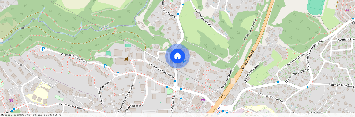 1066, Epalinges, Chemin Du Vaugueny, 20