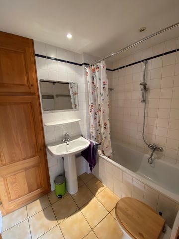 Location Appartement 1 pièce 22m² STRASBOURG 67000 - Photo 3