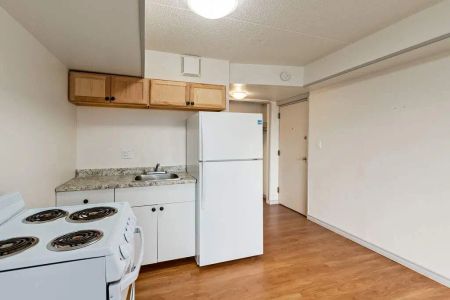 - 1 Bedroom at Palm Road Apartments - Photo 5