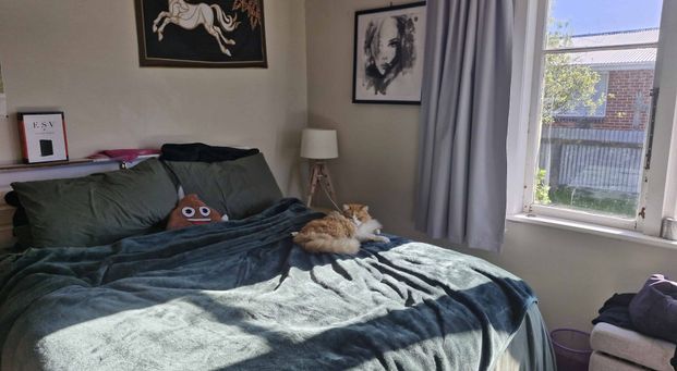 Get settled before Christmas - Photo 1