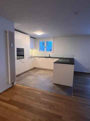 First rental in the heart of Lyss - Photo 5