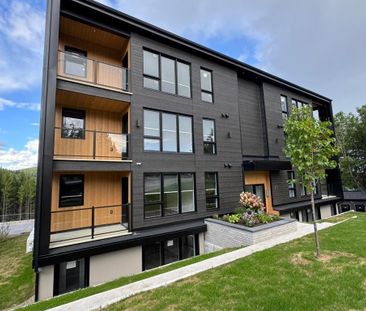 Logement condo ste-agathe 3 1/2, 4 1/2 - Photo 2