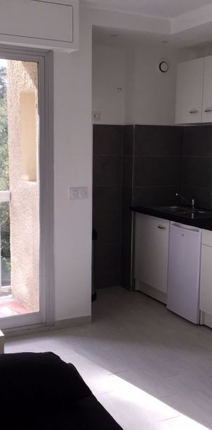 Location Appartement 1 pièce 19m² - Photo 1