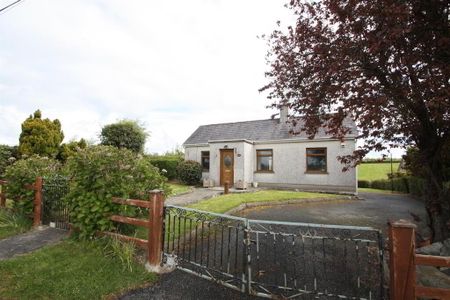 65 Creevyargon Road, Ballynahinch, BT24 8YF - Photo 3