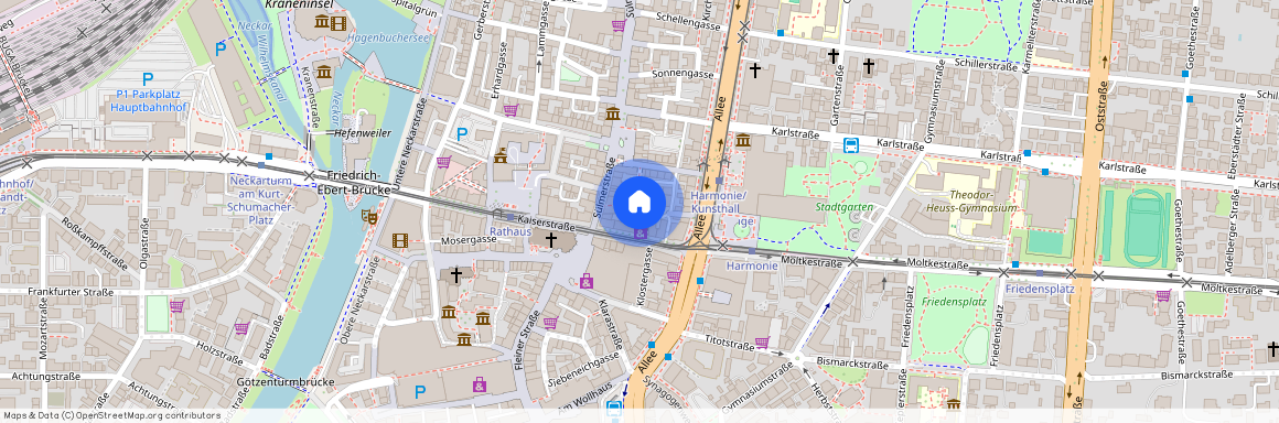 Schulgasse 9, 74072 Baden-Württemberg - Heilbronn