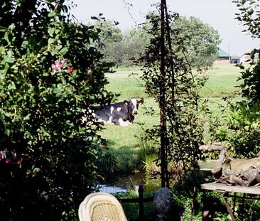 Beschrijving Amstelkade - Foto 3