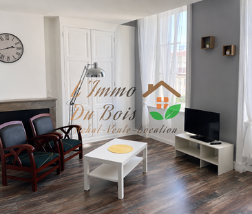 Location Appartement 1 pièce 32m² PELUSSIN 42410 - Photo 3