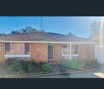 2 Bed Villa with Brand New Carpet! - Photo 6