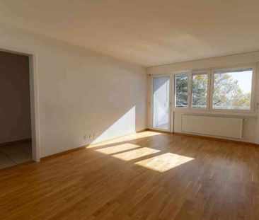 2 Zimmer, 49 m², 1. Stock - Foto 1