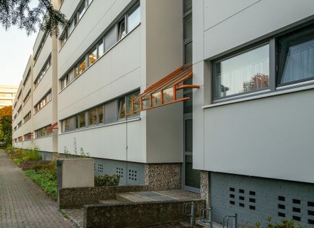 Ideal für Familien oder Paare –Neu modernisierte Wohnung in Detmerode - Photo 2