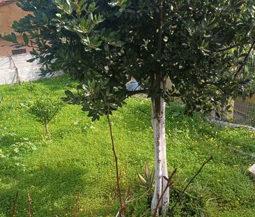 Ενοικίαση κατοικίας, 66 τ.μ., Ραφήνα, 620 € - Photo 3