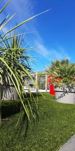 Location Appartement 1 pièce 26m² TOURS 37000 - Photo 4