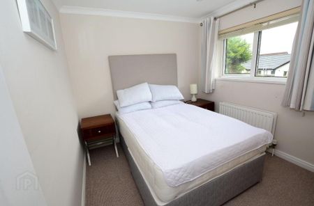 26 Annadale Terrace, Belfast, BT7 3DH - Photo 4