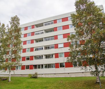 Hamnplan 16 B, 94161, Piteå - Foto 3