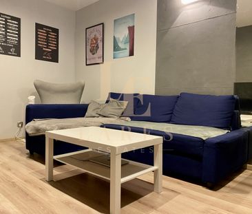 Oddzielna kuchnia|2 pokoje|Zwierzęta akceptowane - Zdjęcie 2