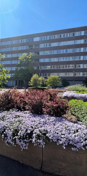 Liegatan, Västerås - Foto 2