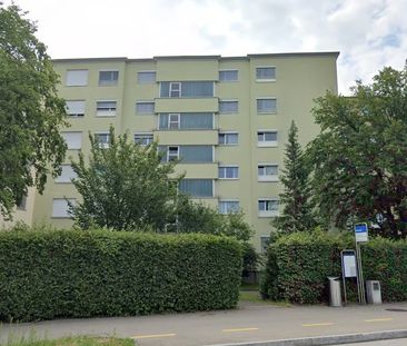 2 Zimmer, EG - Photo 6