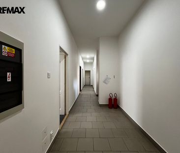Pronájem bytu 1+kk v osobním vlastnictví 15 m², Plzeň - Fotografie 4