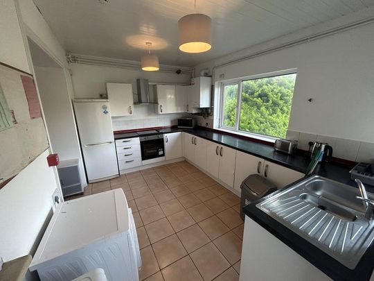 1 bedroom house to rent - Photo 1