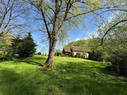 Location maison 3 pièces - 47m² à Cour cheverny (41700) - Photo 1