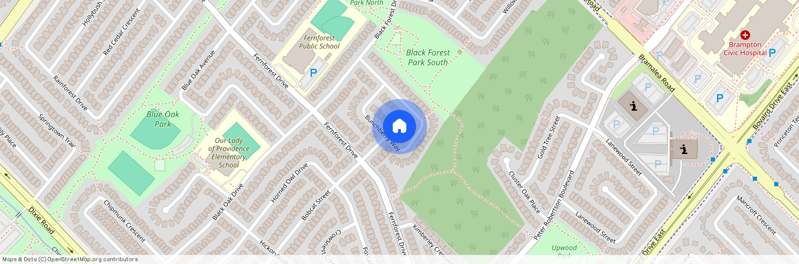 103 Bunchberry Way, Brampton