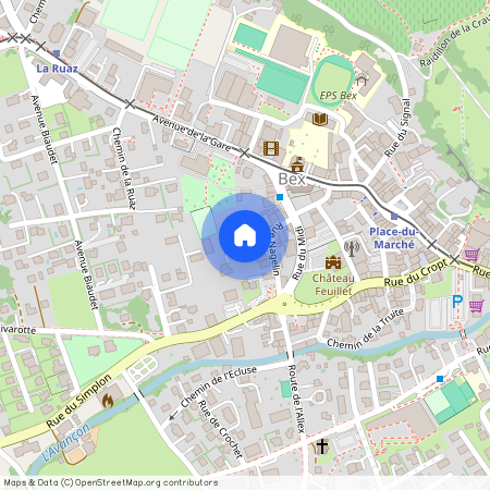 1880, Bex, Rue de Nagelin