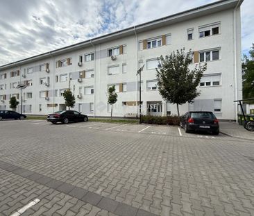 For rent Apartment, Bács-Kiskun county Kecskemét AZONNAL KÖLTÖZHETŐ... - Photo 2