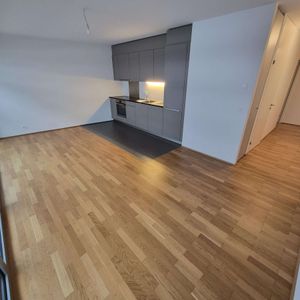 Appartement 3 pièces | Eaux-Vives - Foto 2