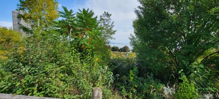 For Lease - 38 Annie Craig Drive Unit# 509, Toronto, Ontario - Photo 2