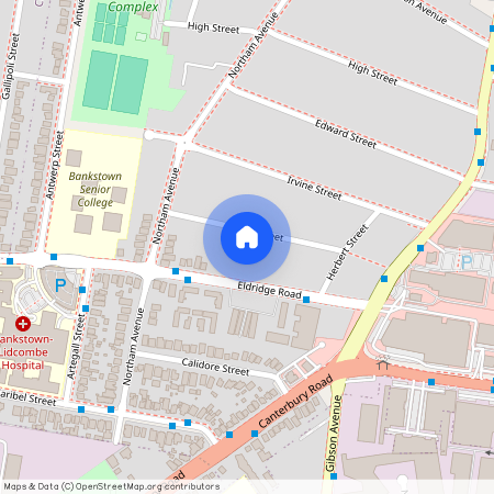 15 Arthur St, Bankstown