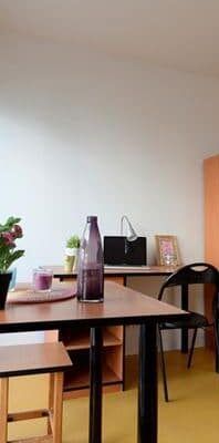 Résidence étudiante Le Rodrigue - Photo 1