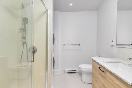 605 Rue Fullum, Ville-Marie, QC - Photo 5